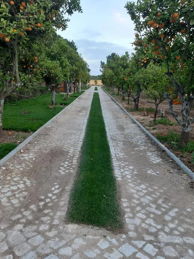 Сasa de vacaciones Quinta Vita - Vila Maca Loulé Portugal