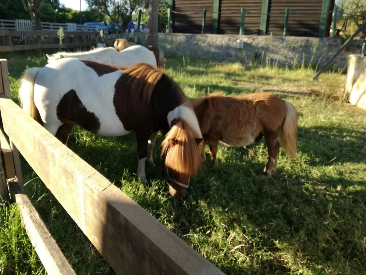 Сasa de vacaciones Quinta Vita - Vila Maca Loulé