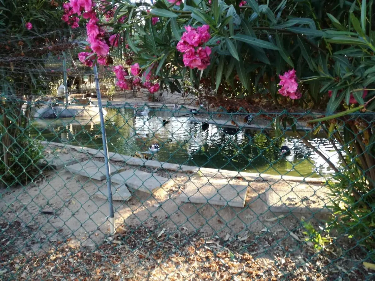 Quinta Vita - Vila Maca Loulé Portugal