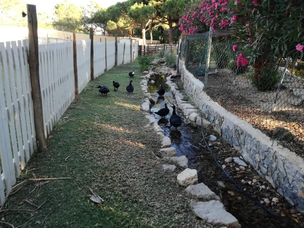 Quinta Vita - Vila Maca Loulé Сasa de vacaciones